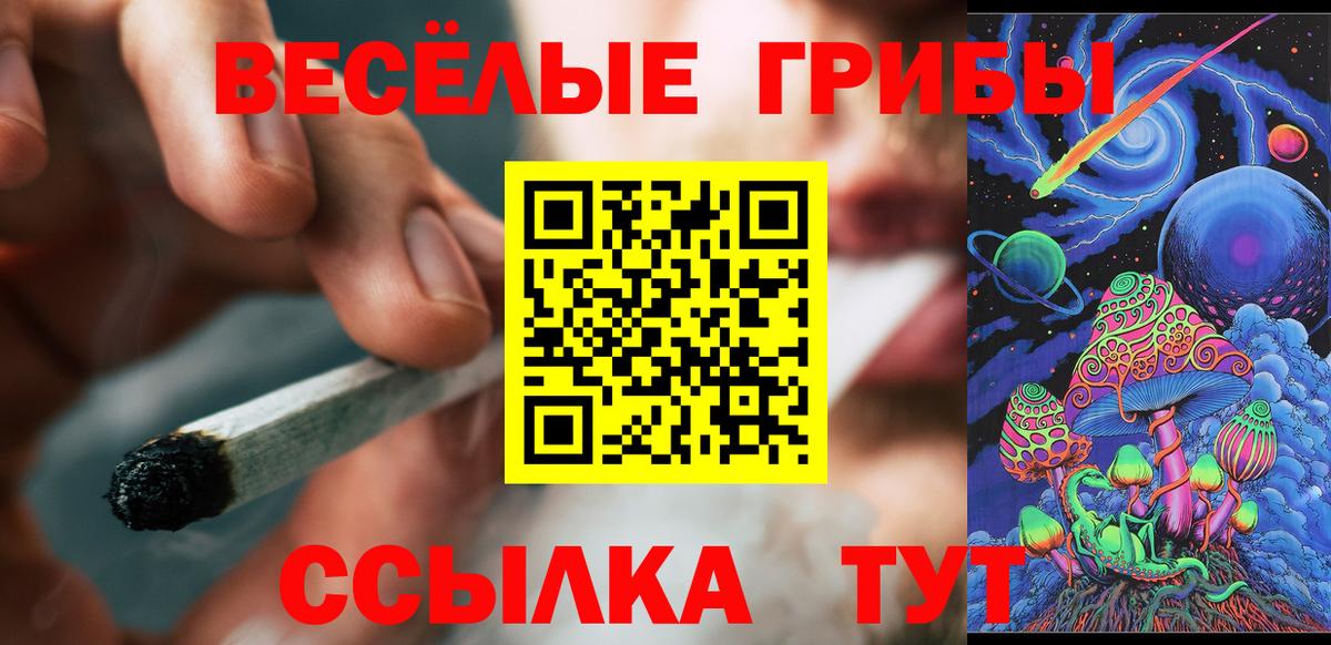 Псилоцибиновые грибы Psilocybine cubensis  Галлюциногенные грибы мухоморы  Вход с VPN  Карачаевск 